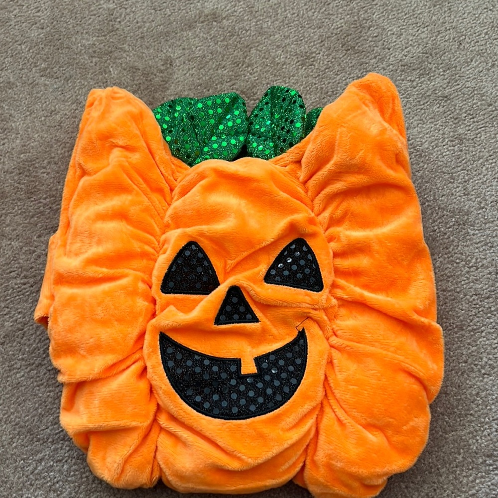 Thrills and Chills Dog/Cat Pumpkin Halloween Costume